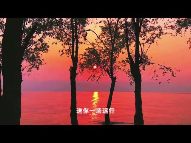 冷门但是很好听的歌曲 —— 【张子薇】《两棵树》 我以枝叶相赠 你却话我 草木本无情