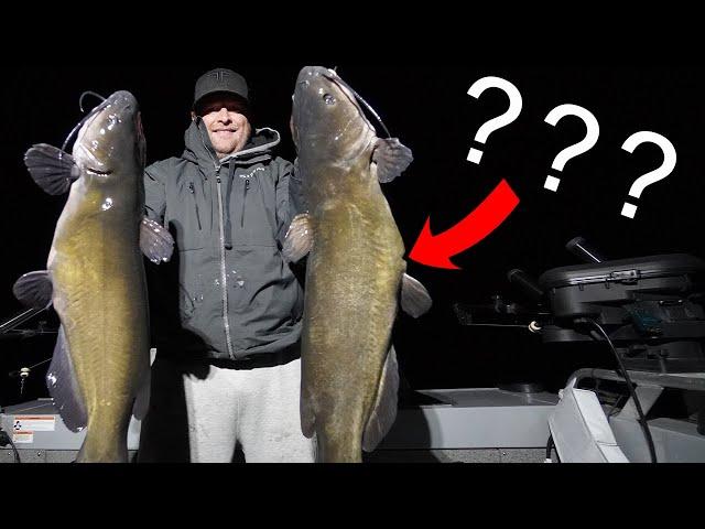 GIANTS OF THE DEEP. Monster CATFISH of Georgian Bay. 70-100 FOW. Fox Fishing 4K ULTRA HD.