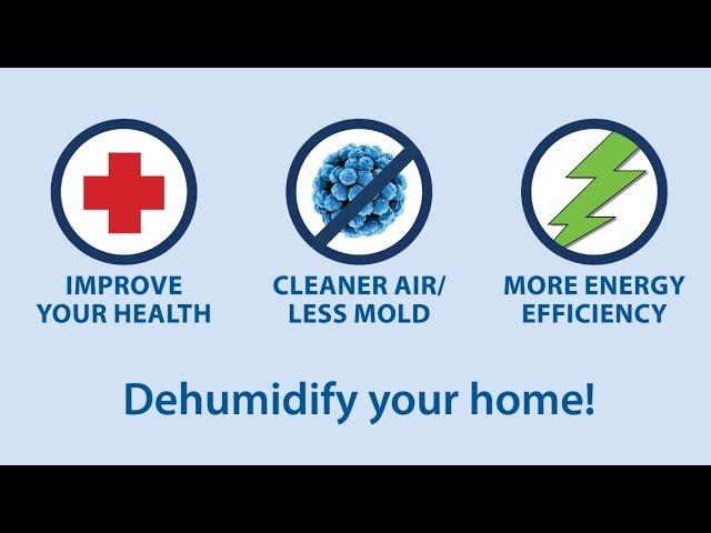 The Right Dehumidifier For Your Damp Basement | Good Day Marketplace | Basement Doctor