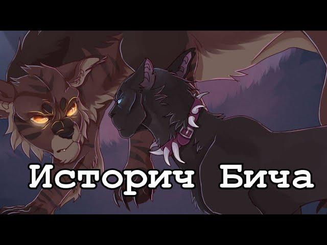 История Бича/Коты-воители