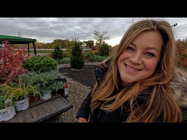Beautiful Plants for Fall & Winter Interest!  // Garden Answer