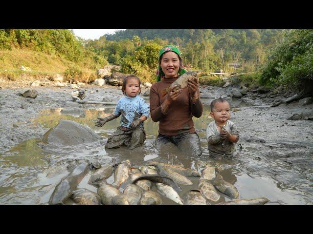 Harvest giant fish ponds to sell at the market - buy winter clothes to keep your children warm