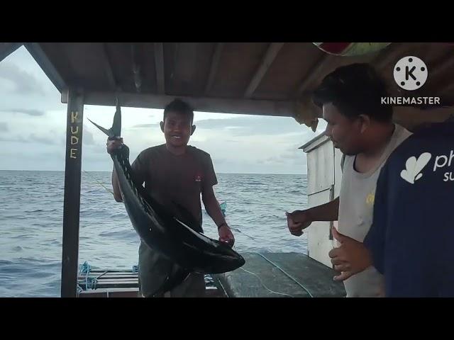 anyer mar doi - pembongkaran ikan tuna di rumpon