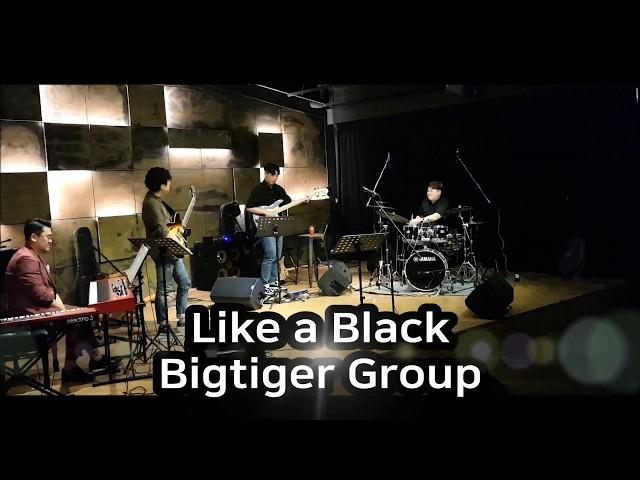 [BigtigerGroup-Offical] Like a black