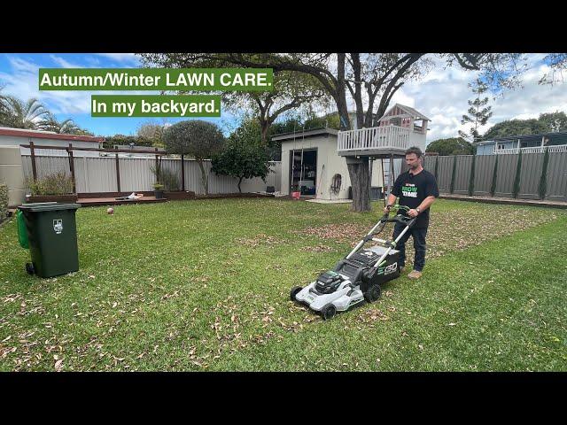 OUT IN MY BACKYARD. AUTUMN/WINTER LAWN CARE. LEAF MILLIONAIRE.