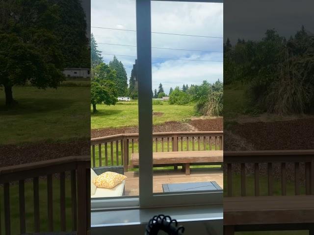 Open House walkthrough, part 1 - kitchen, dining area, and yard #acreage #remodeledhome #homeforsale