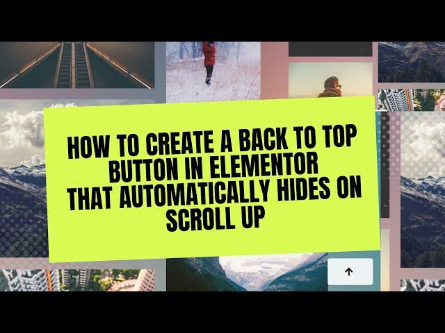 How to Create a Back to Top Button in Elementor That Automatically Hides on Scroll Up