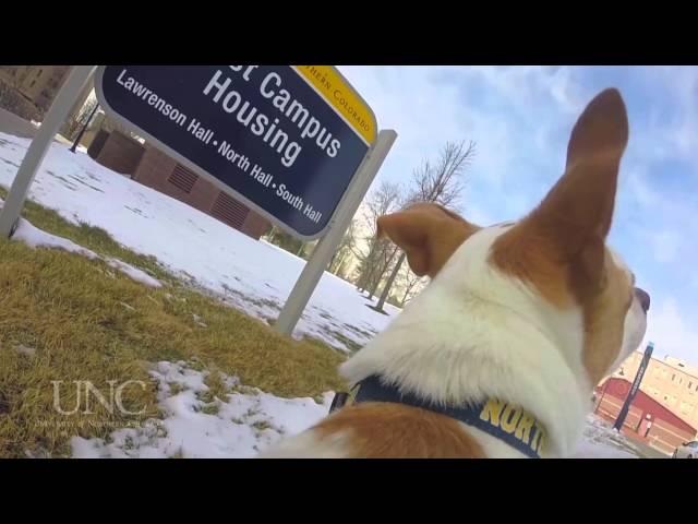 A campus that feels like home. | University of Northern Colorado