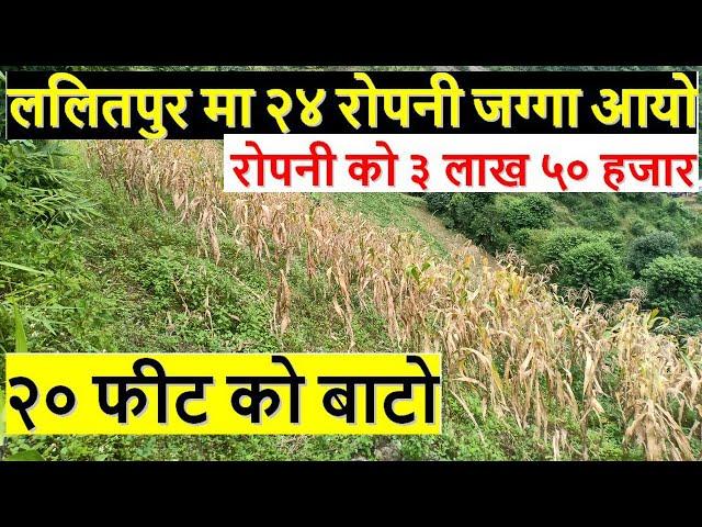 Land for sale in ikudol lalitpur  nepal | hamro bazar | ghar jagga nepal | real estate nepal