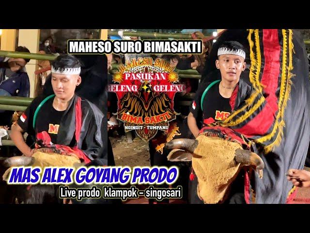 MAS ALEX GOYANG PRODO fans  HEBOH || MAHESO SURO BIMASAKTI || live prodo - singosari