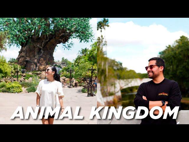 El Parque Más Barato de Disney | Guía Completa Animal Kingdom 2024