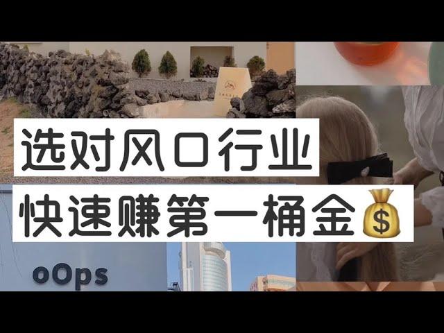 最新灰产网赚暴利赚钱项目 2023网上赚钱最快的方法.0成本创业，居家日赚3000+新手可做！#灰产 #灰色项目 #赚钱 #赚钱项目 #创业 #快速赚钱 #网赚项目