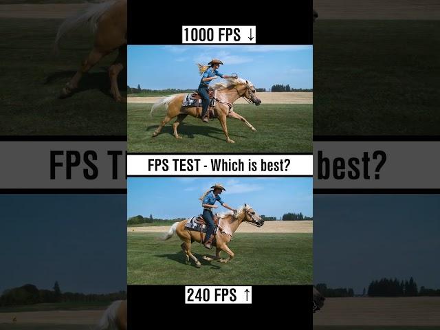 Amazing Slow Motion Horse Racing