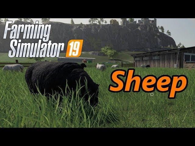 Farming Simulator 19 Tutorial | Sheep