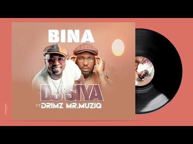 Djsiya ft Drimz Mr. Muziq - Bina (Official  Audio)