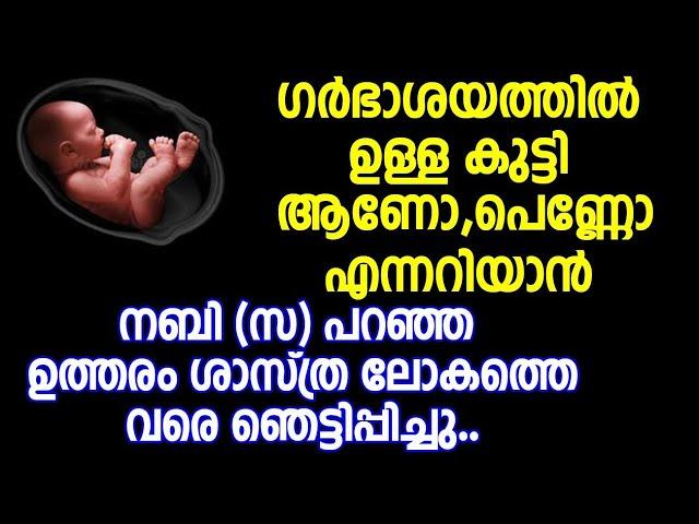 ഗർഭാശയത്തിൽ ഉള്ള കുട്ടി ആണോ,പെണ്ണോ എന്നറിയാൻ നബി സ പറഞ്ഞ ഉത്തരം ശാസ്ത്ര ലോകത്തെ വരെ ഞെട്ടിപ്പിച്ചു..