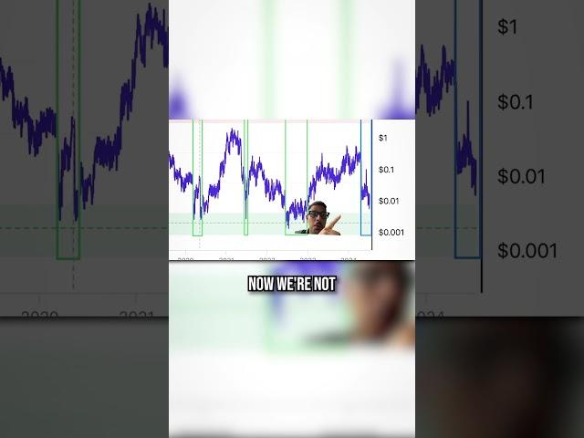 WE’RE IN THE MIDDLE OF THE BITCOIN BULL RUN!!
