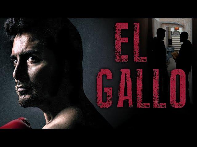 EL GALLO Full Movie | Monte Bezell | Crime Movies | Boxing Movies | The Midnight Screening