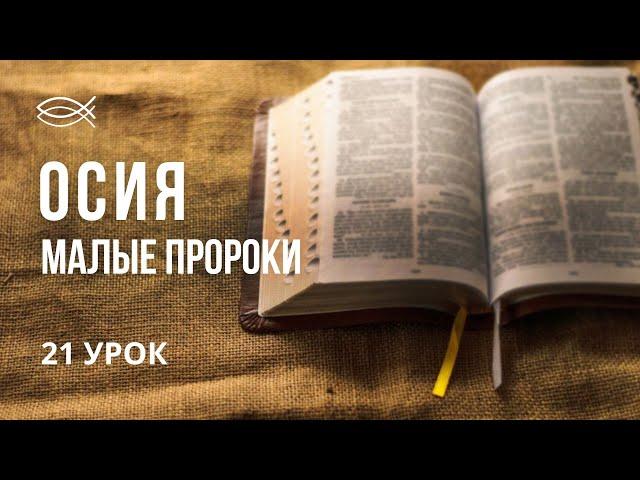 УРОК 21 | ОСИЯ | Малые пророки