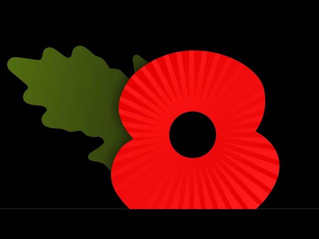 POPPY GAME INSULT TO OUR WAR DEAD