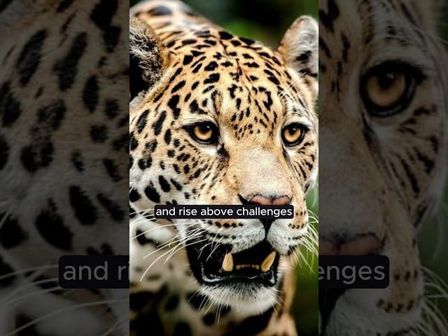 Unleash Your Power: The Secret Behind Jaguar's Black Spots