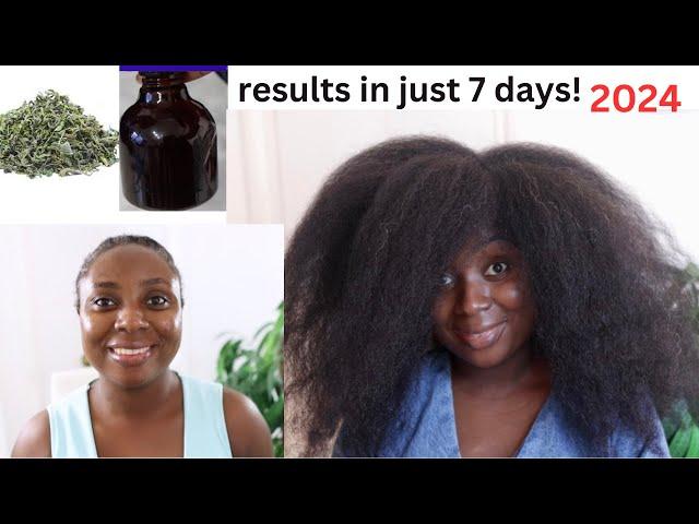 Your hair may become too thick to handle in JUST 2 WEEKS of using this hair tea 