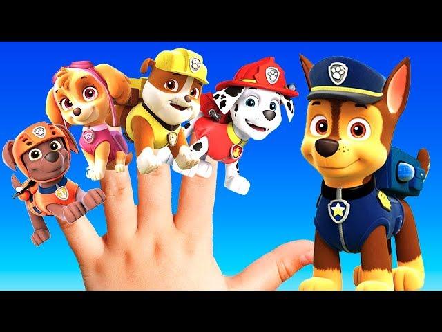 PAW PATROL Kids Song: BEST Nursery Rhymes For Children | Keiki Kids Songs