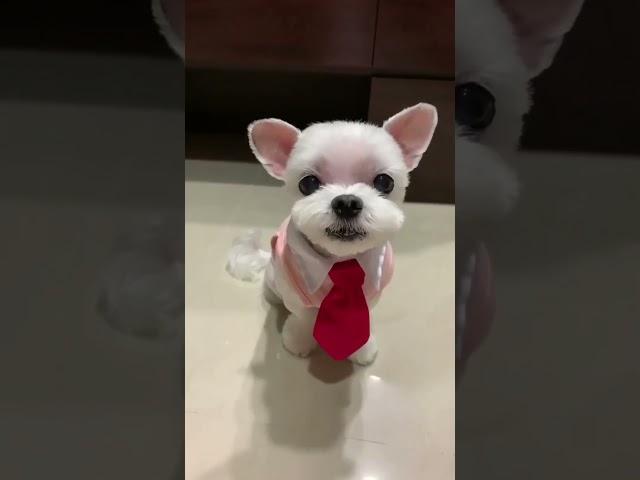 Melyiket vegyem fel? :)