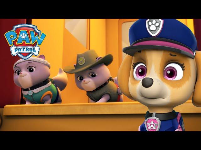 終極救援：皇家貓咪謎案！- PAW Patrol 汪汪隊立大功 - 兒童卡通