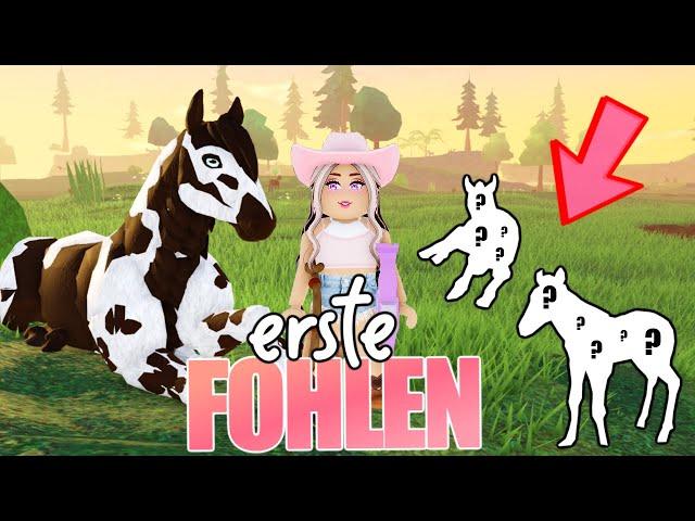 meine  FOHLEN  in Horse Life ⭐️ Roblox