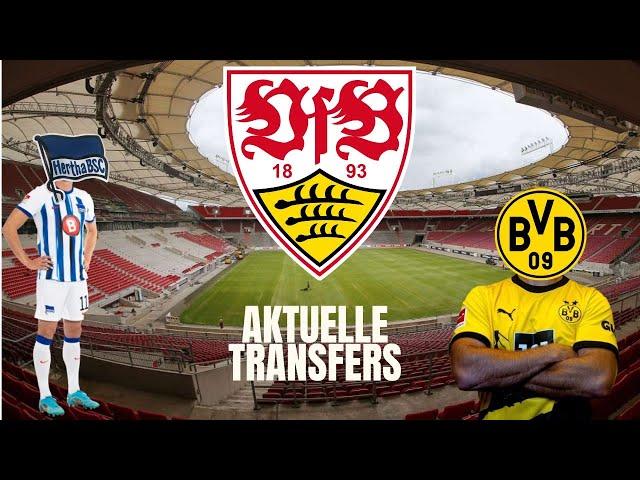 VfB Stuttgart bereitet sich auf die neue Saison vor! Aktuelle Transfers und meine 3 Top Gerüchte!