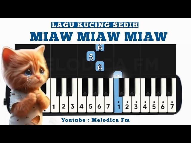 Miaw Miaw (Sad Song Viral Tiktok) | Easy Pianika Tutorial