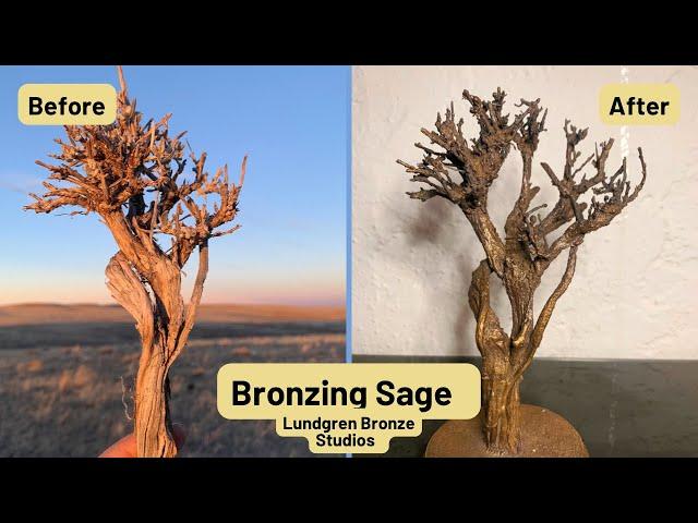 Casting Bronze Sage Brush/ Lost Organics Casting