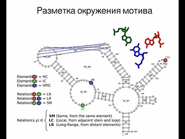 Структурная биоинформатика РНК в целом и в частности, Баулин Евгений, ИМПБ РАН,  30.05.2020