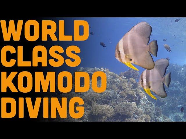 World Class Diving in Komodo National Park