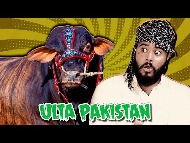 Ulta Pakistan | The Fun Fin | Comedy Skit | Ulti Dunya 3 | Funny Sketch