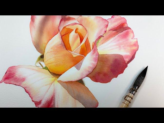 How to paint an orange rose in watercolor | akwarele kwiaty | 水彩ローズ オレンジ