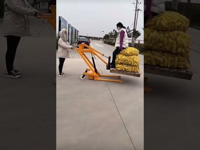 Mini Forklift for Different Workshop