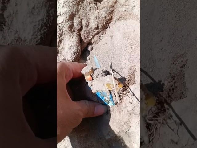 I Found a Valuable Treasure in an Abandoned Pool with My Dog #pools