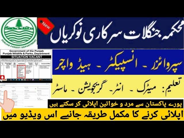 Punjab Wildlife Department Jobs 2025 Announced-Punjab Wildlife Department Jobs Apply Online Process