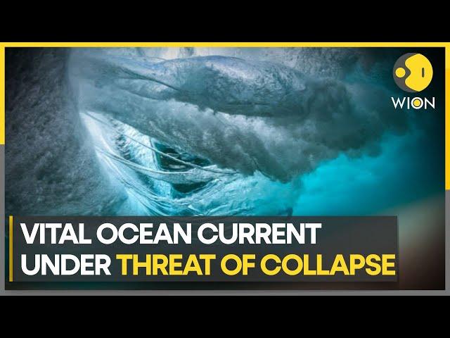 Vital ocean currents could collapse by mid-century: Study | World News | WION