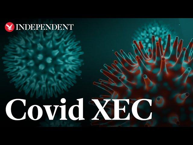 Covid XEC: What are the symptoms of new virus strain?