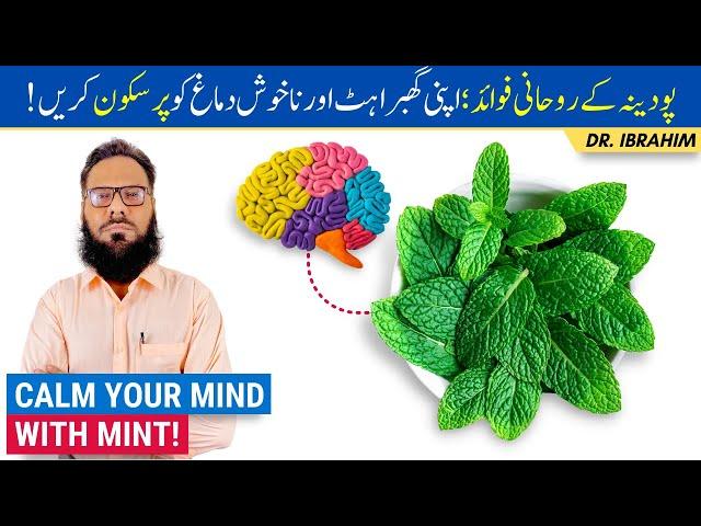 Pudina Ke Rohani Fawaid! Peppermint's Spiritual Benefits On Brain Health - Urdu/Hindi - Dr. Ibrahim