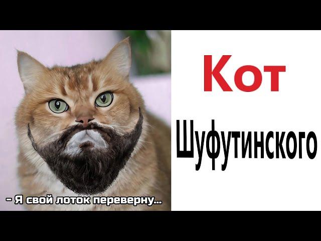 Приколы! КОТ ШУФУТИНСКОГО - МЕМЫ!!! Смешные видео от – Доми шоу!