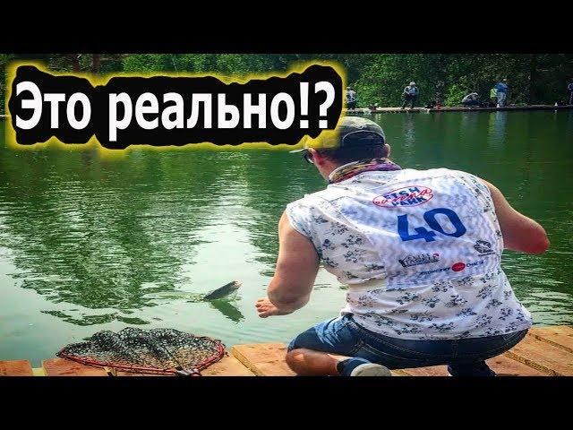 Это реально !?Ловля форелели на БЛЁСНЫ. КАК РЕЗИНОЙ !