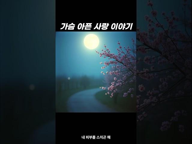 가슴 아픈 사랑 이야기