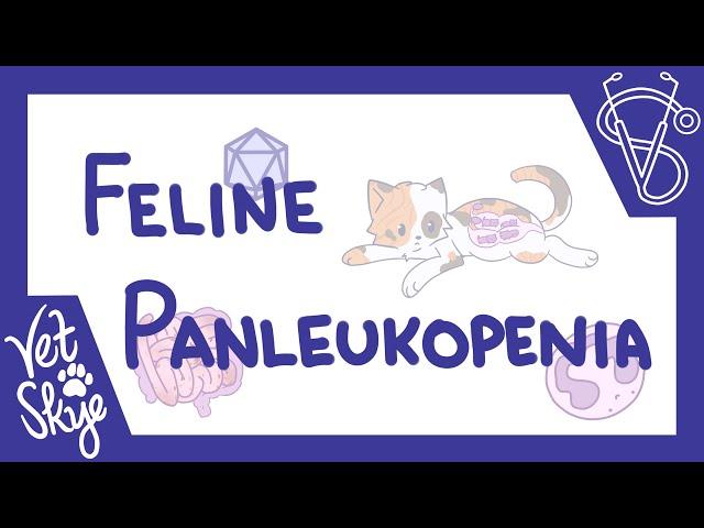 Feline Panleukopenia - causes, pathology, clinical signs, diagnosis, treatment