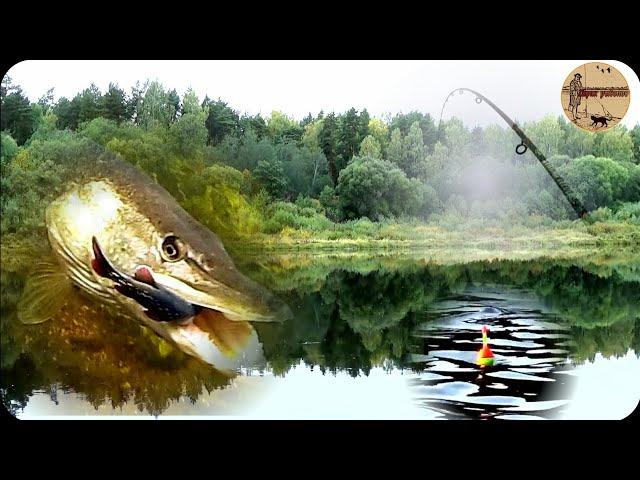 КАК ЛОВИТЬ ЩУКУ НА ПОПЛАВОК С БЕРЕГА,ТЕХНИКА ЛОВЛИ.fishing,bushcraft,nature,camping.