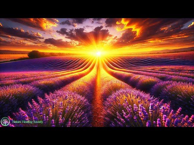 GOOD MORNING MUSIC  The Best Positive Energy Music For Meditation & Relaxation 528hz