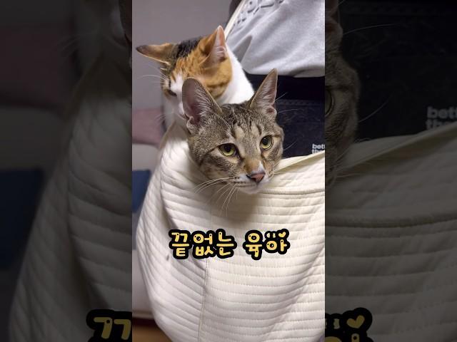 육아에서 벗어나고 싶다